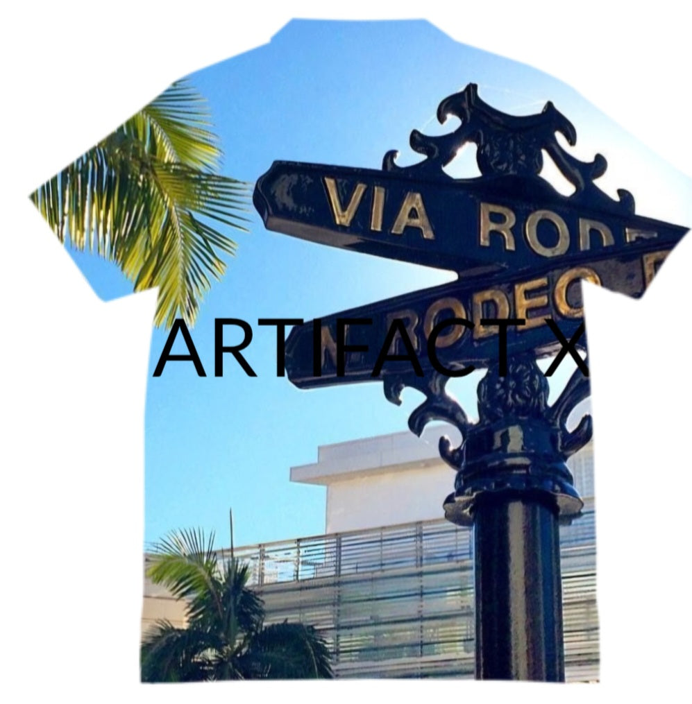 DESIGNER ARTIFACTS X