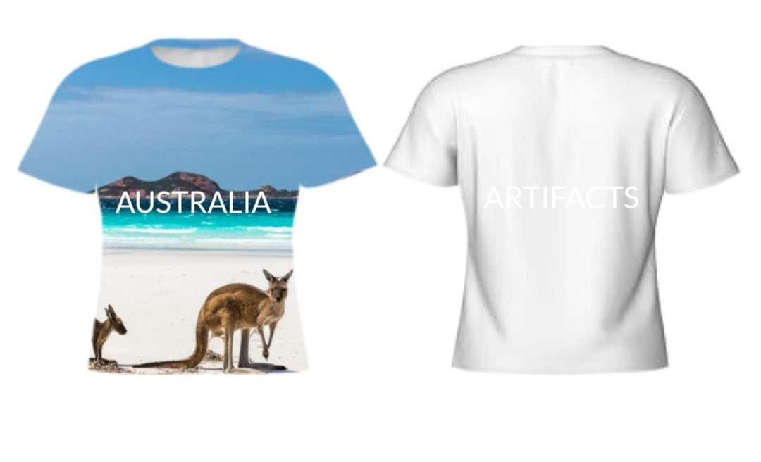 Designer Artifacts tshirt